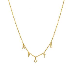 Collier pendentif personnalisé en acier inoxydable 12 Collier pendentif personnalisé en acier inoxydable 12